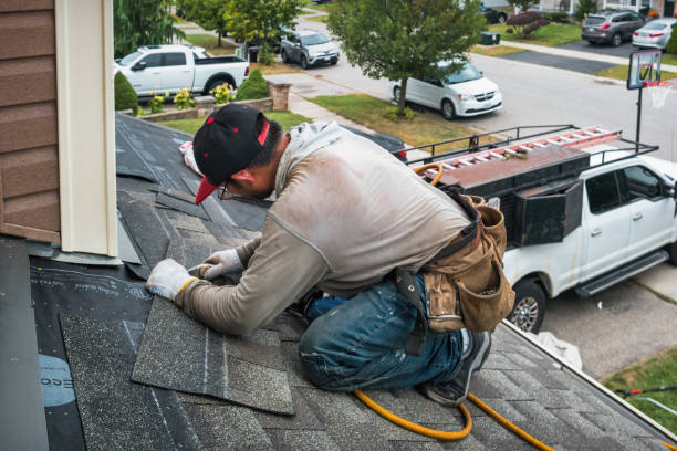Professional Roof Replacement technician working in Barco, NC